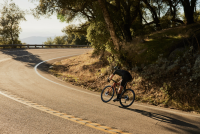 Giant TCR Advanced Pro 0 Disc-Di2