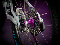 Yeti YETI ASR 40th Anniversary