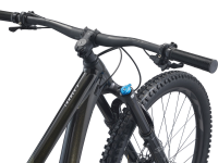 Giant Trance X 29 1 / M / 2022 Panther