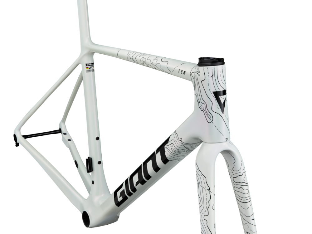 Giant TCR Advanced SL Frameset