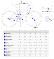 Giant Revolt Advanced 0 Geometriedaten