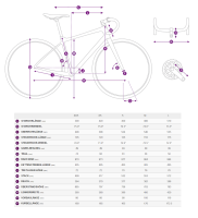 Liv Langma Advanced PRO 0 QOM