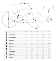 Liv Langma Advanced SL Disc DA