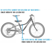 Chameleon 20", Mk2, 8-Speed, Light Blue_8802